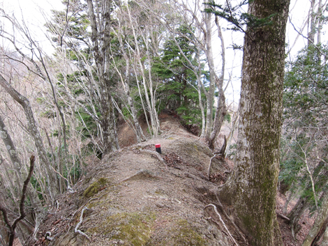 20200204hike (191)